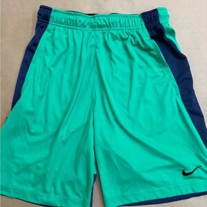 Nike Men's Green and Navy Athletic Shorts